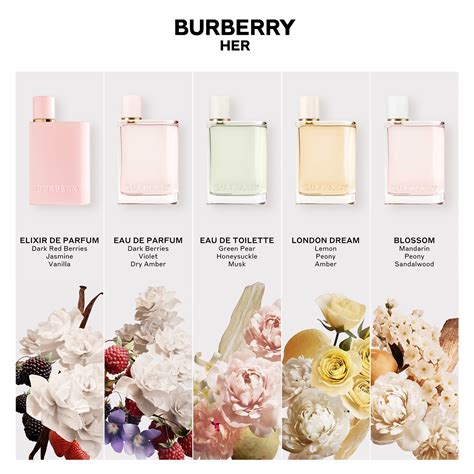 burberry her elixir sizes|Burberry Her elixir de.